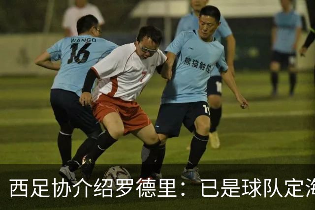 西足协介绍罗德里：已是球队定海神针，带领年轻球员向世界杯冲击